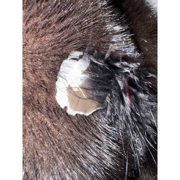 Mr Leonard Mink Fur Hat With Feather Brown